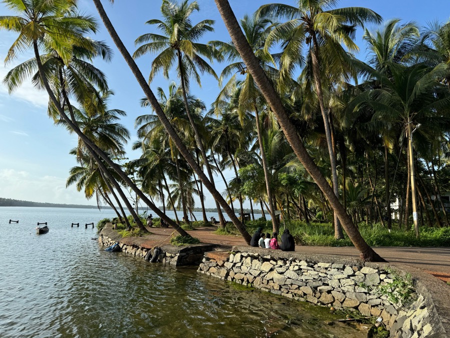 Cocoland snapshot filled with soft daylight and a relaxed tropical mood