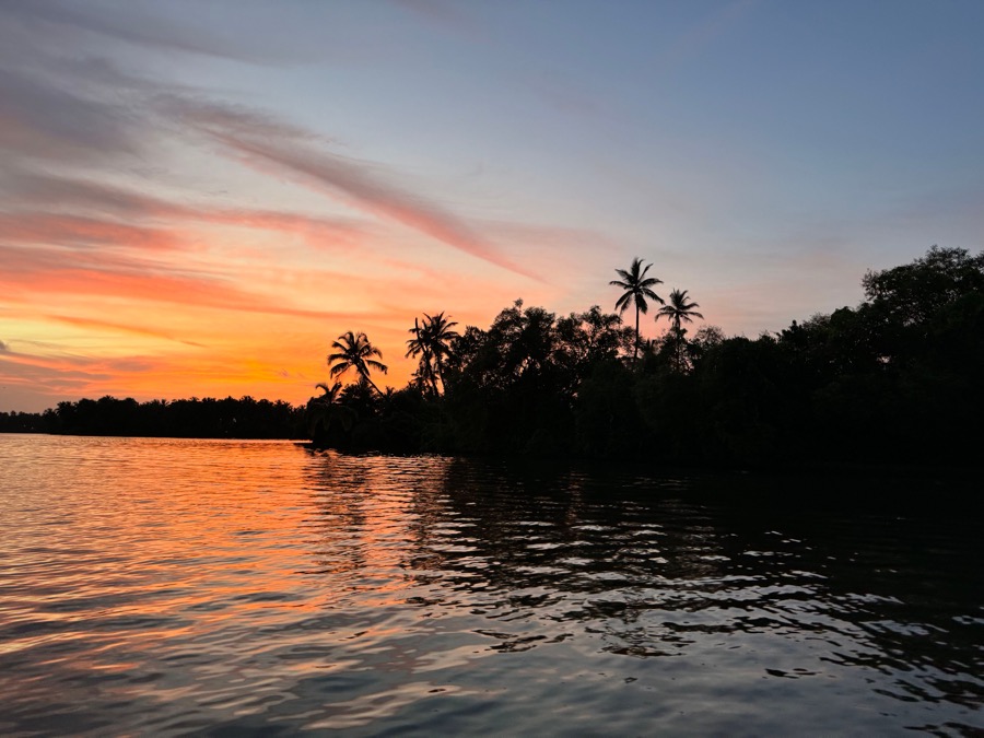 Cocoland photo focusing on tropical landscaping